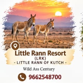 Little Rann Resort